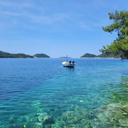 アパート Dragovoda Bay *