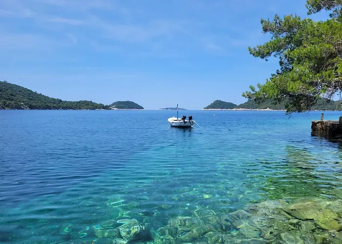 아파트 Dragovoda Bay *