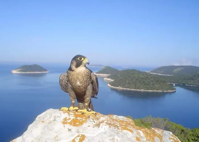 Dragovoda Bay Убли